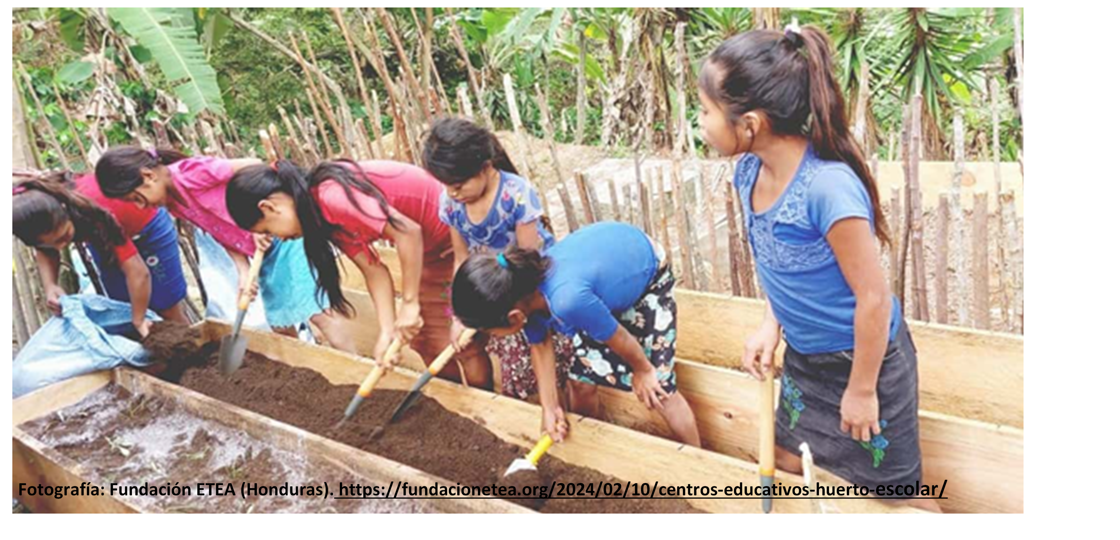 					Ver Vol. 24 Núm. 3 (2025): Territorios en crisis socioambiental
				